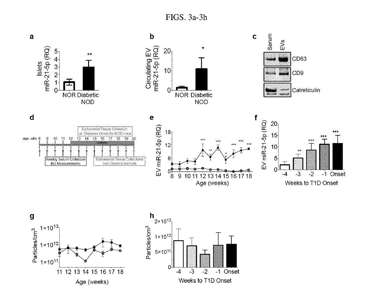 Extracellular vesicle ribonucleic acid (RNA) cargo as a biomarker of hyperglycemia and type 1 diabetes