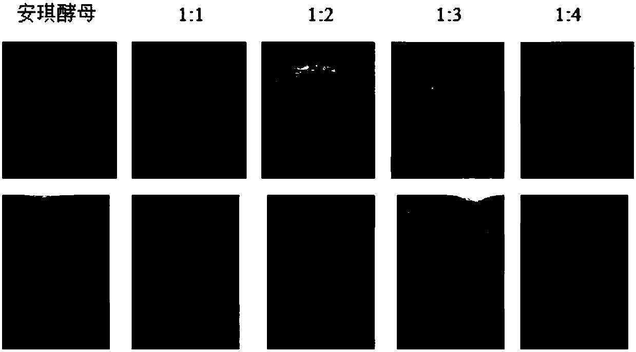 Natural yeast leavening agent for bread