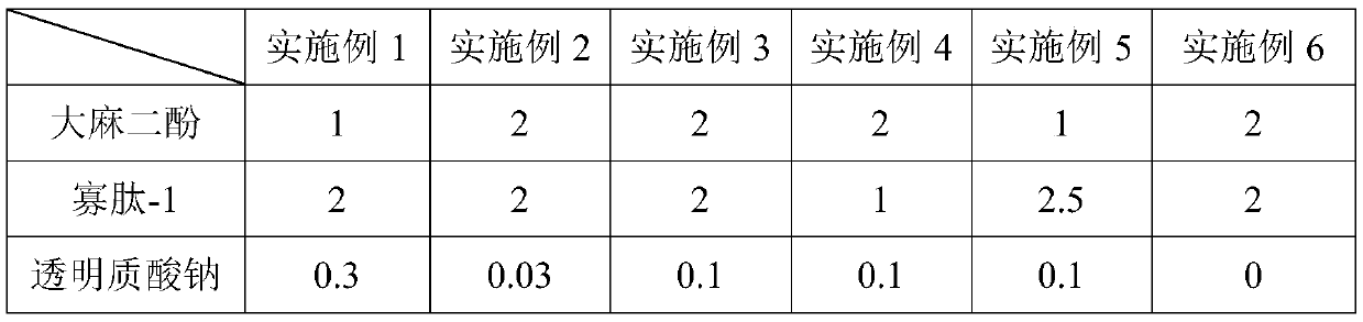 Anti-aging composition, essence stock solution and preparation method of anti-aging composition