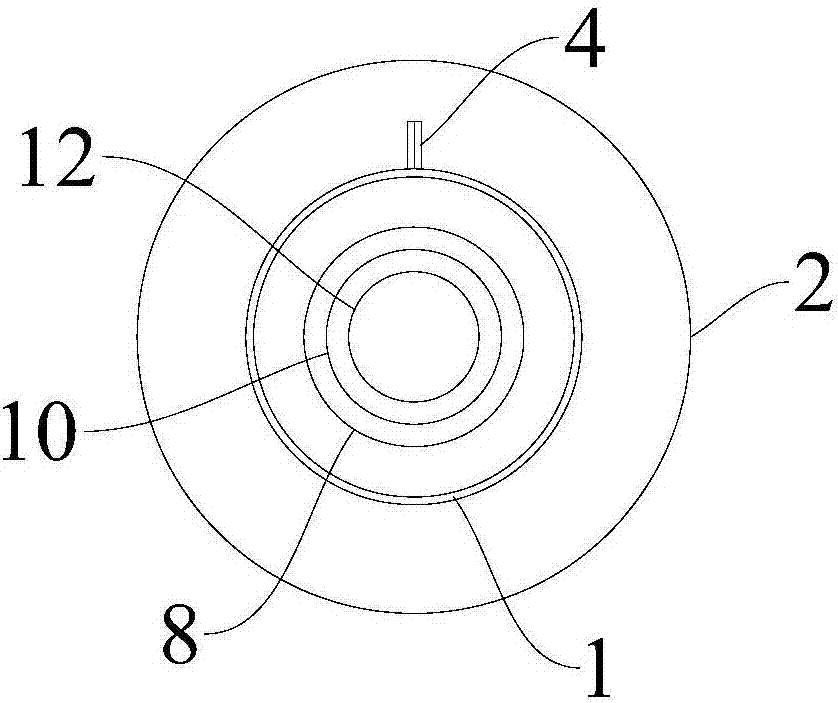 Device for eliminating DPF oil injection regeneration flame