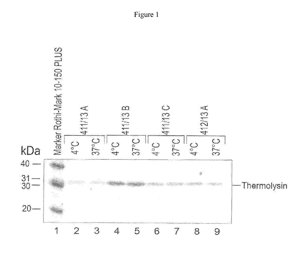 Enzymatic determination of HbA1c