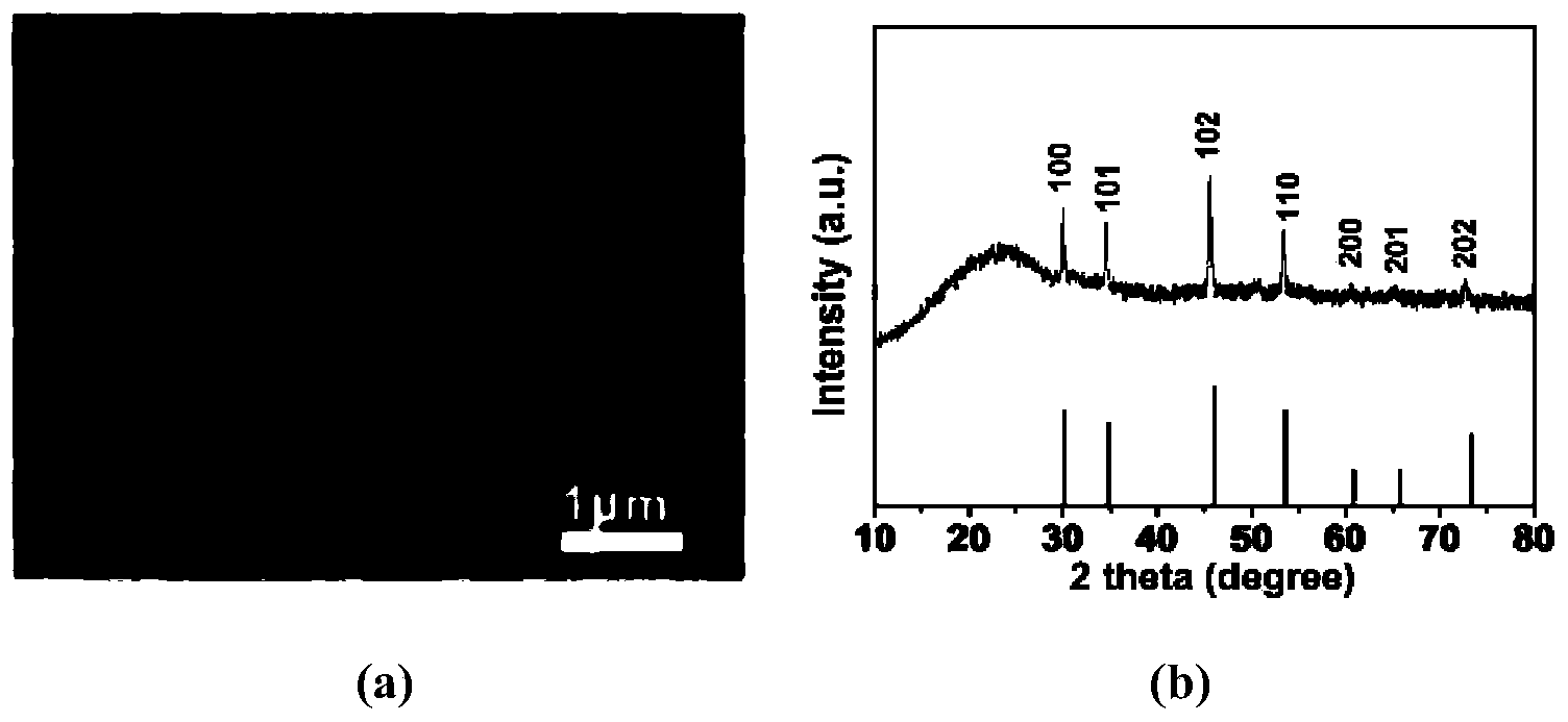 Method for preparing alpha-nickel sulfide and carbon nanometer rodlike composite material in in-situ mode