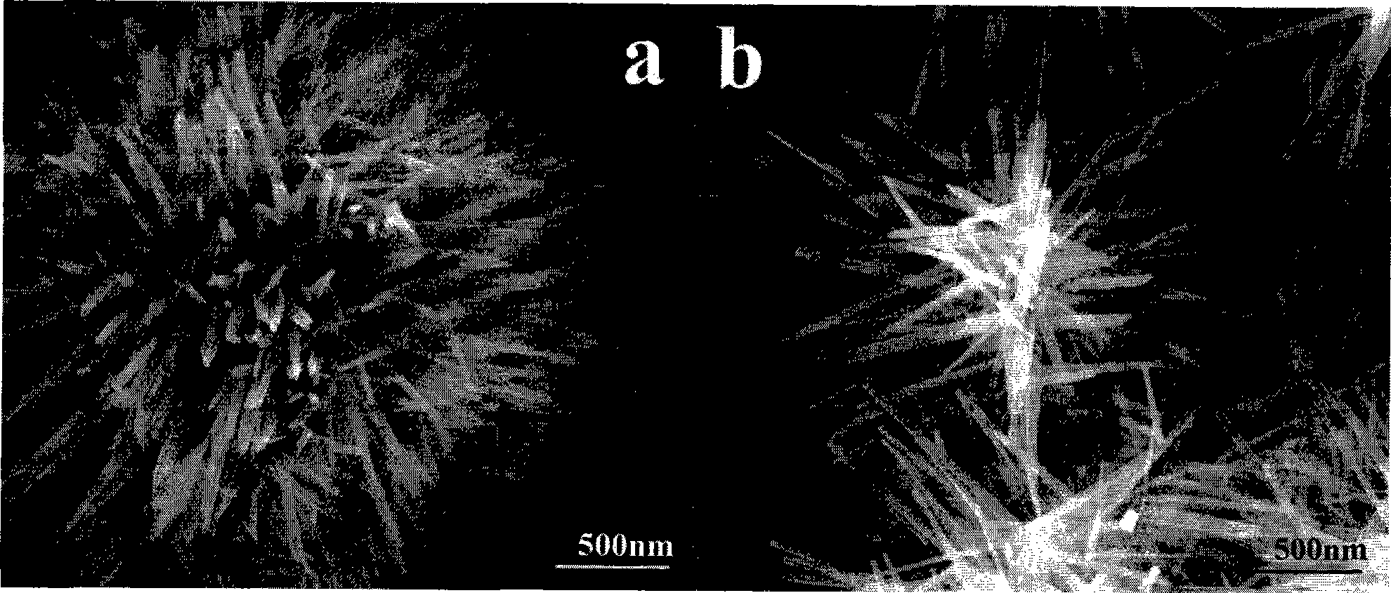 Method for synthesizing alpha-MnO2 micrometre hollow sphere and nanocluster