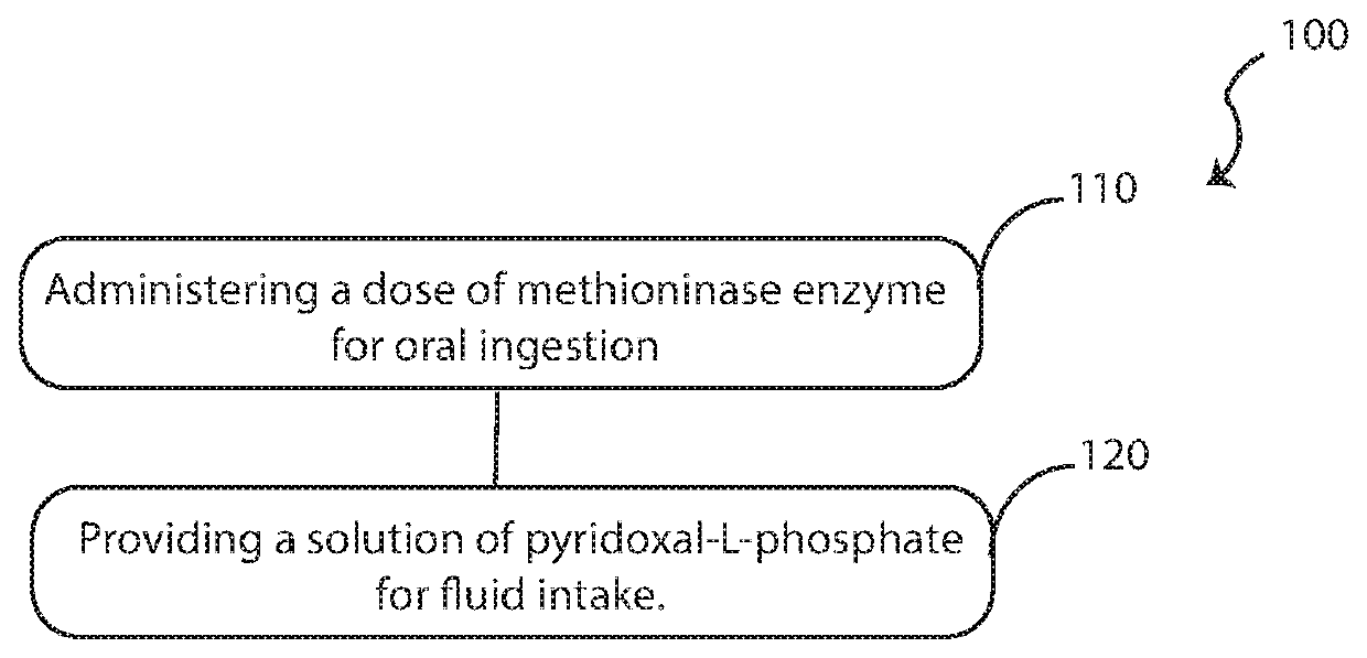 Orally administered composition of methioninase enzyme