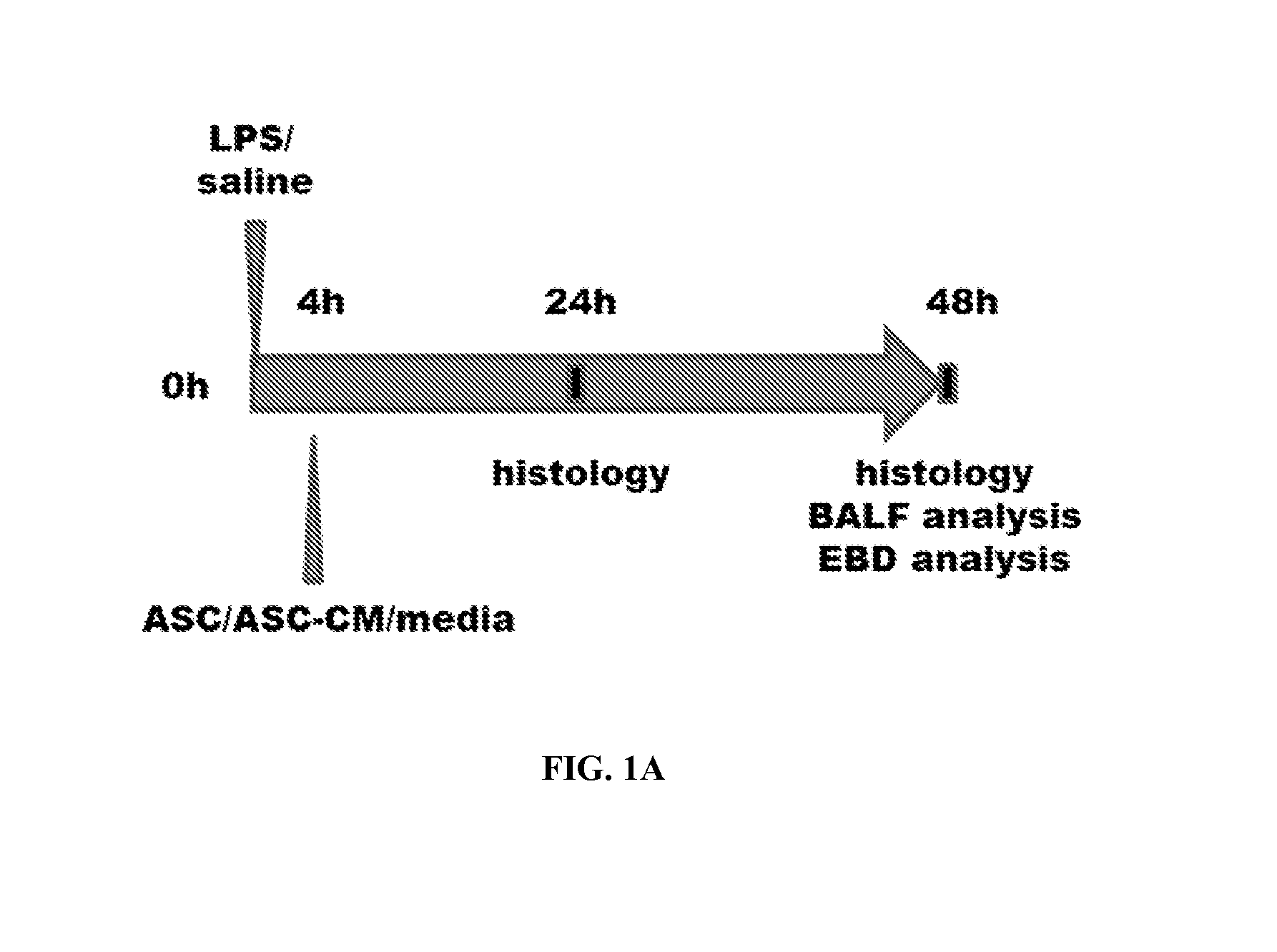 Use of asc and asc-cm to treat ards, sars, and mers