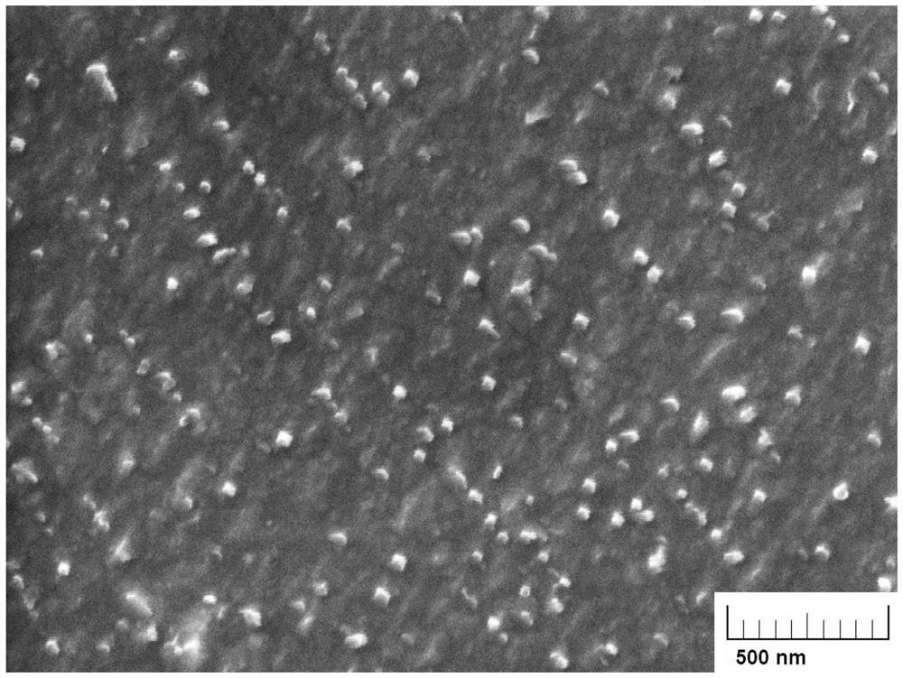 Image Acquisition Method of Nano Precipitates Based on Scanning Electron Microscope Backscattering Mode