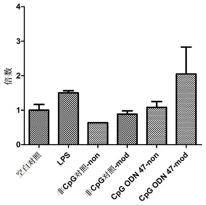 CpG oligodeoxynucleotide and preparation and application thereof