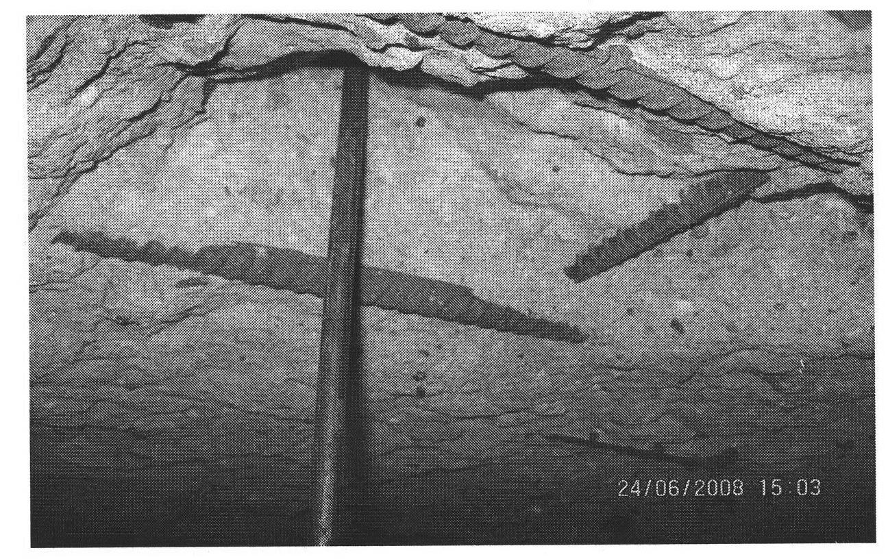 Corrosion-resistant repairing method for perforation of top plate of phosphoric acid reaction tank