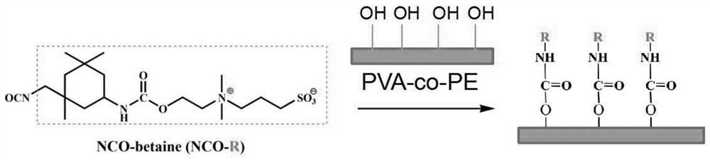 Nanofiber filter membrane with anti-bacteria and anti-pollution functions, and preparation method of nanofiber filter membrane