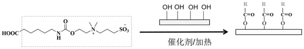 Nanofiber filter membrane with anti-bacteria and anti-pollution functions, and preparation method of nanofiber filter membrane