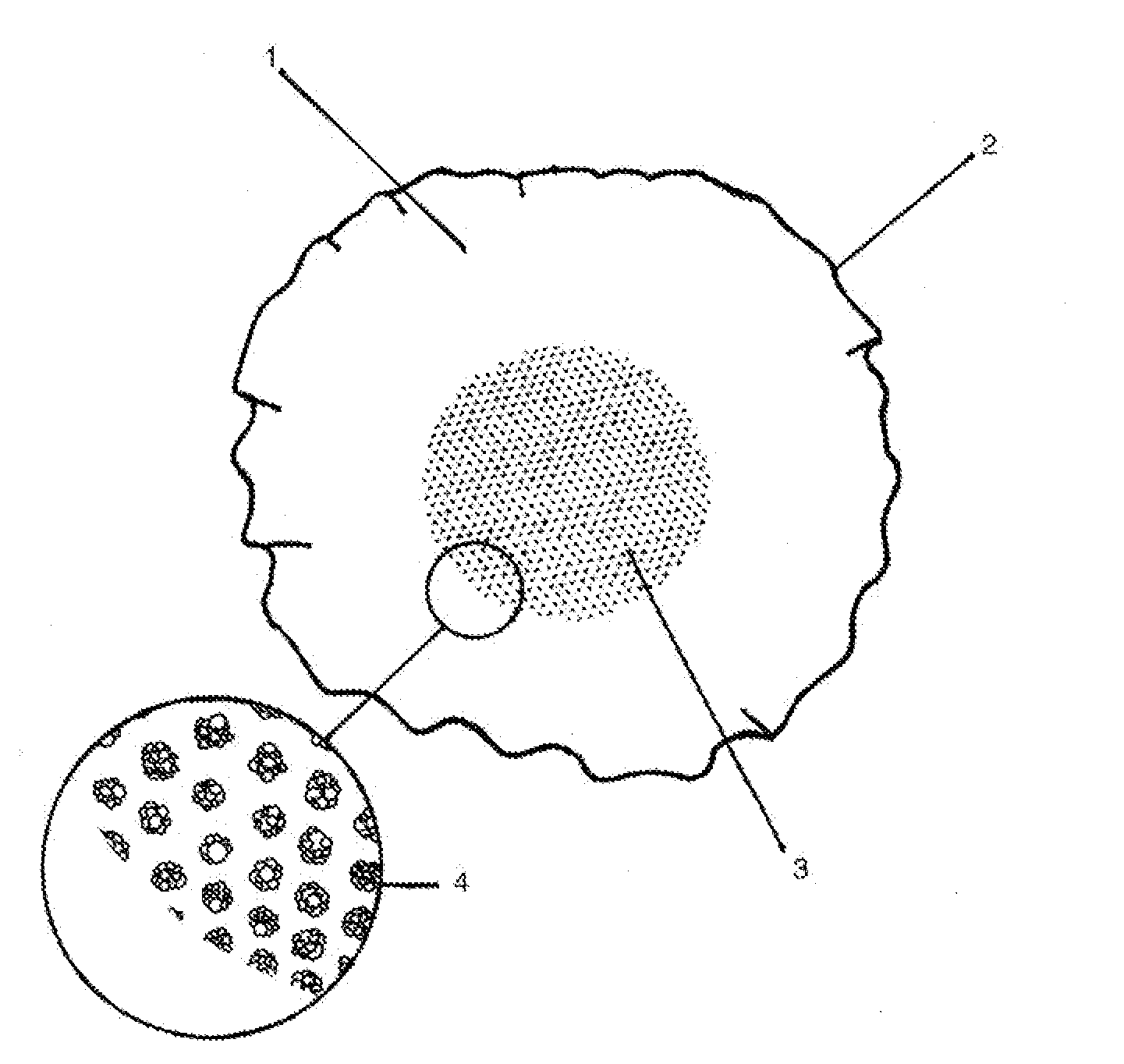 Method of enhancing beverages by means of a unique microencapsulated delivery system