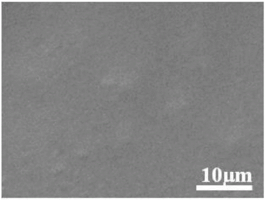 Composite solid-state polymer electrolyte and all-solid-state lithium battery