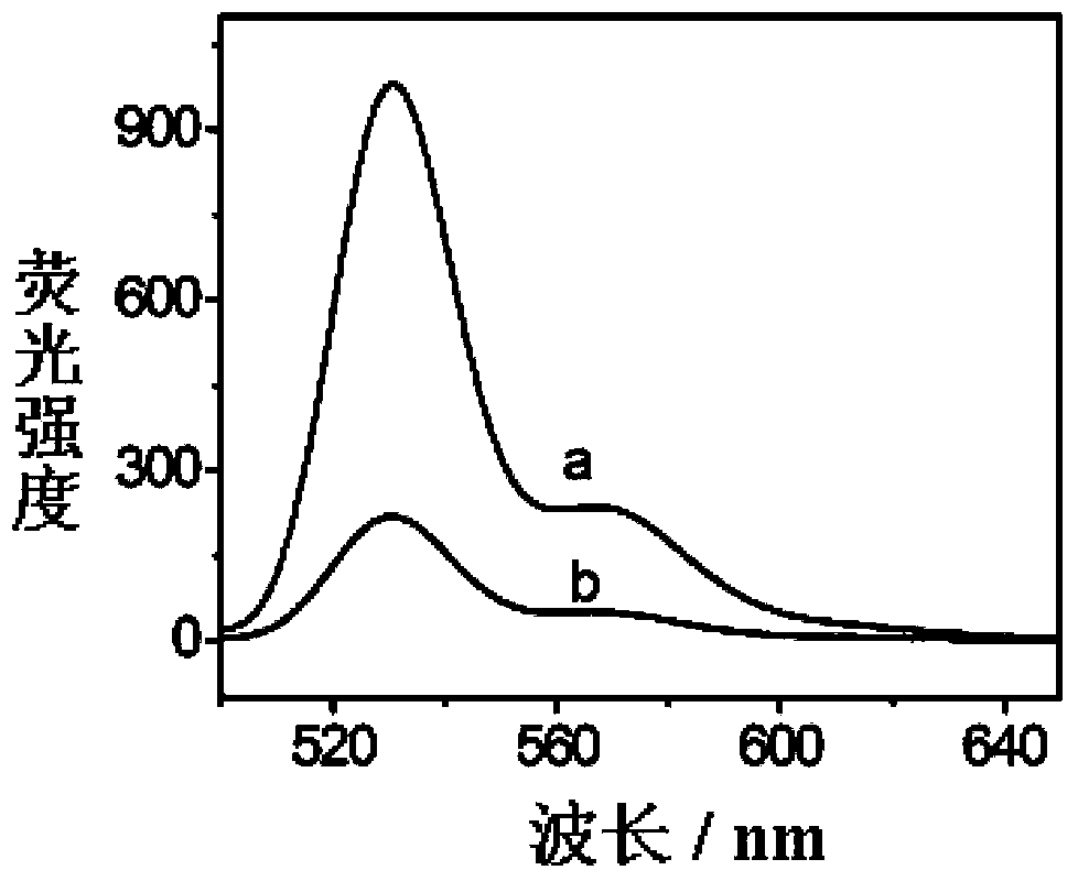 Preparation method of perylene tetracarboxylic acid-graphene heterojunction based photo-anode material