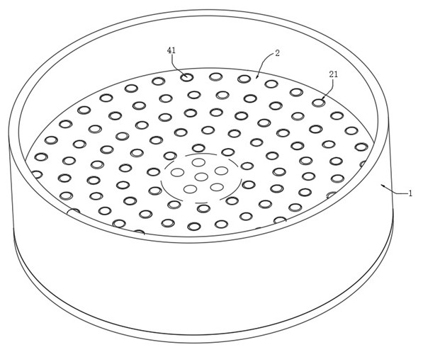 Diabetic rat memory dysfunction testing system based on ginkgo biloba extract