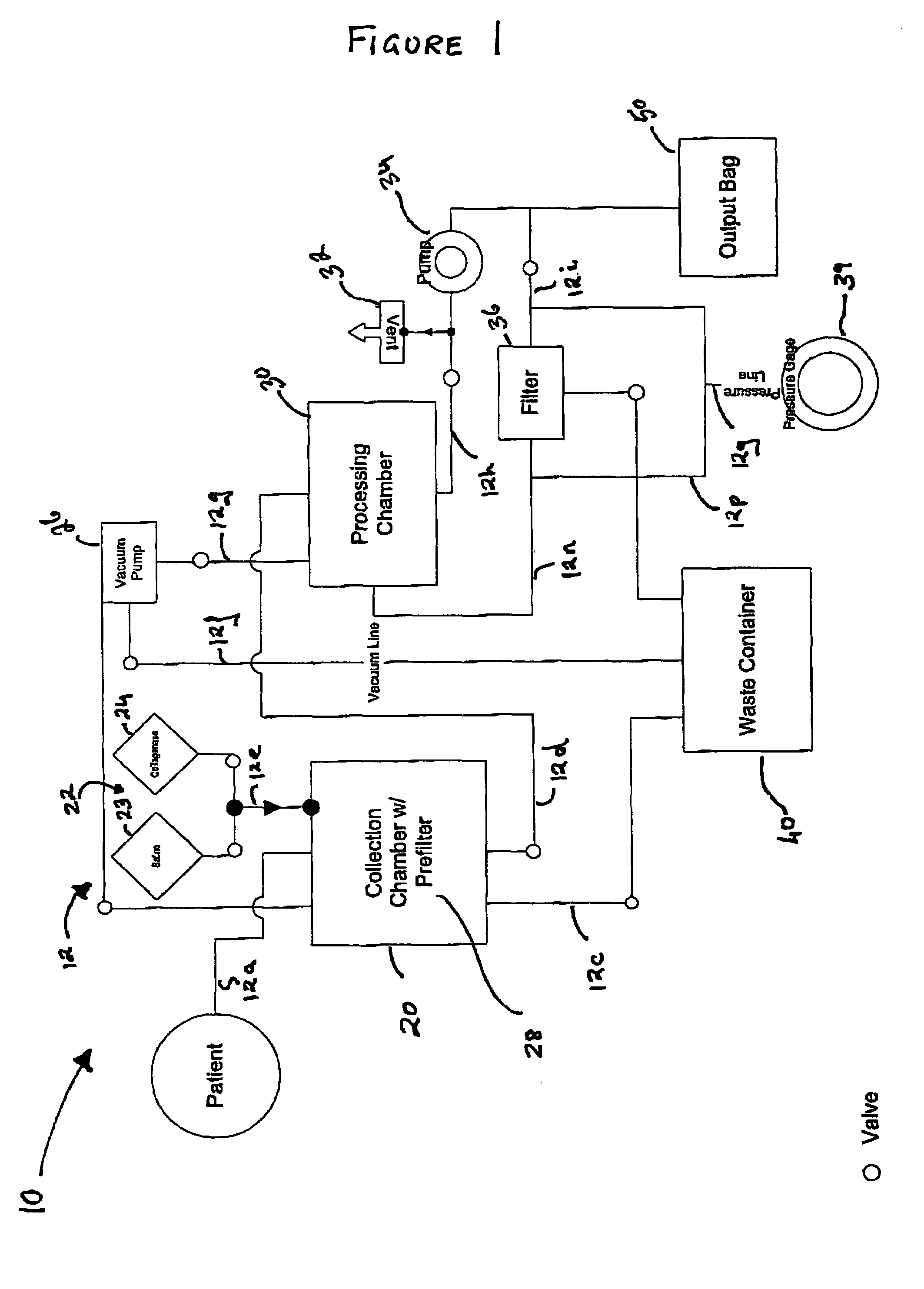 Methods of using adipose tissue-derived cells in augmenting autologous fat transfer
