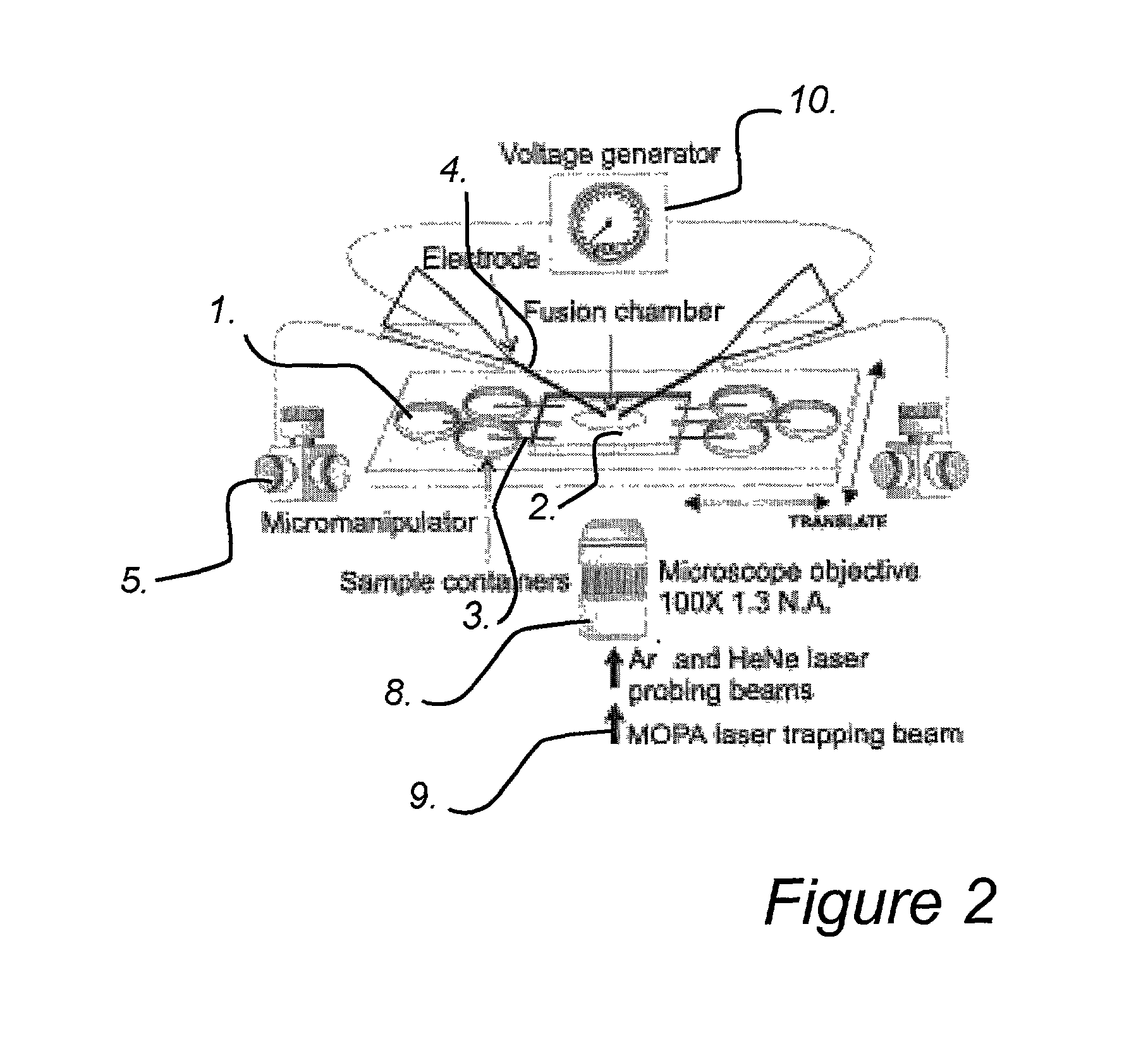 Method and apparatus for manipulation of cells and cell-like structures focused electric fields in microfludic systems and use thereof