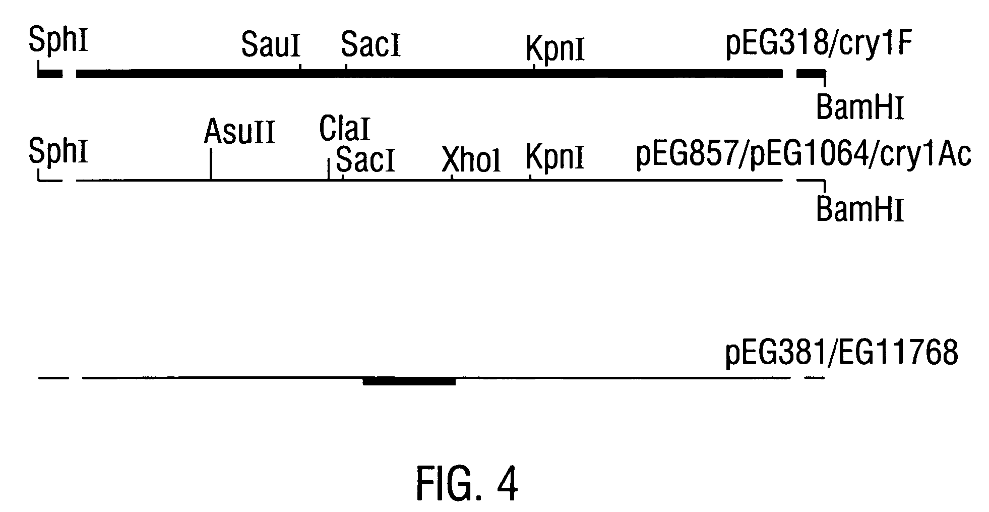 Polynucleotide compositions encoding broad spectrum delta-endotoxins