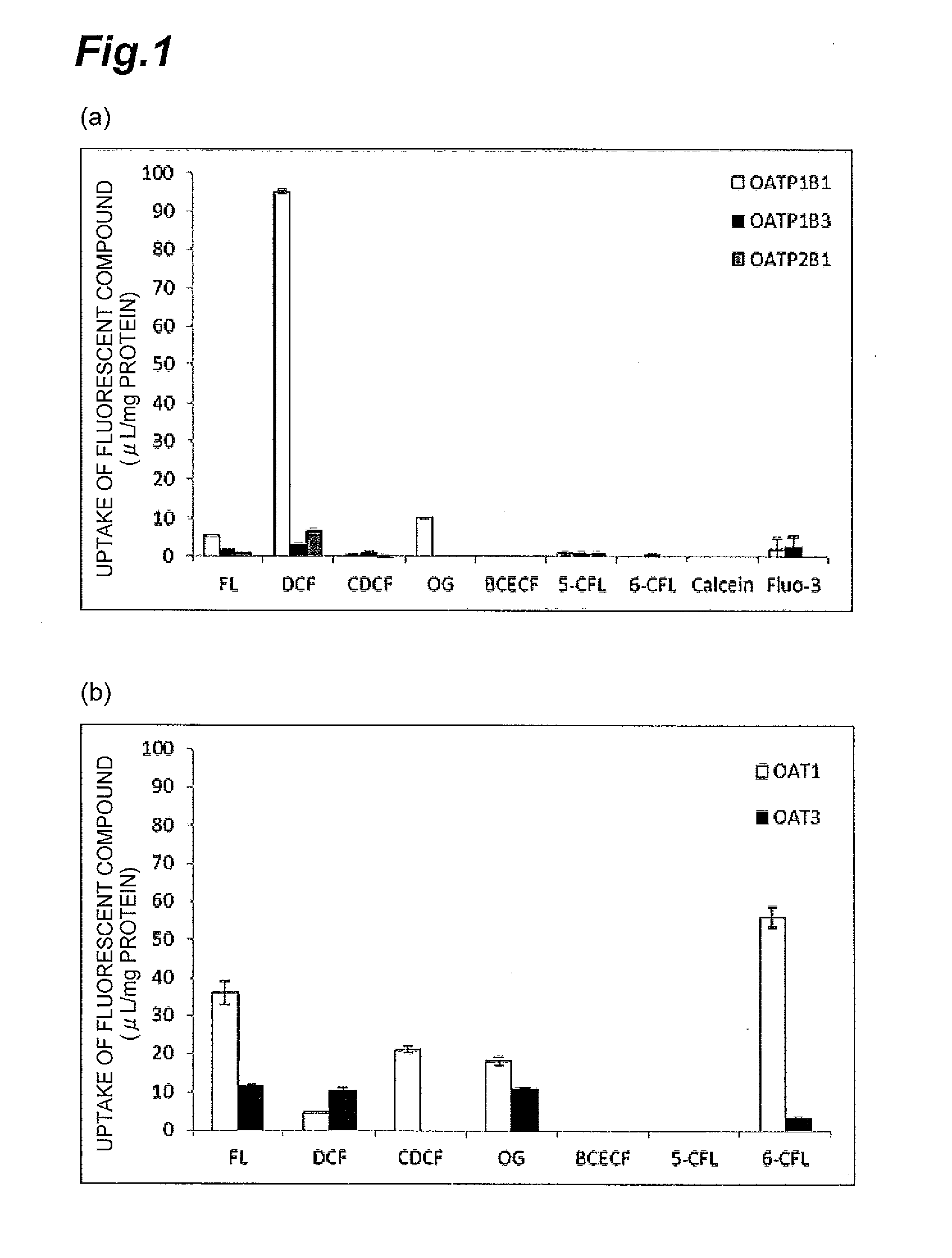 Method for screening for compound capable of enhancing or inhibiting oatp1b1 transport activity, and method for determining expression level of oatp1b1