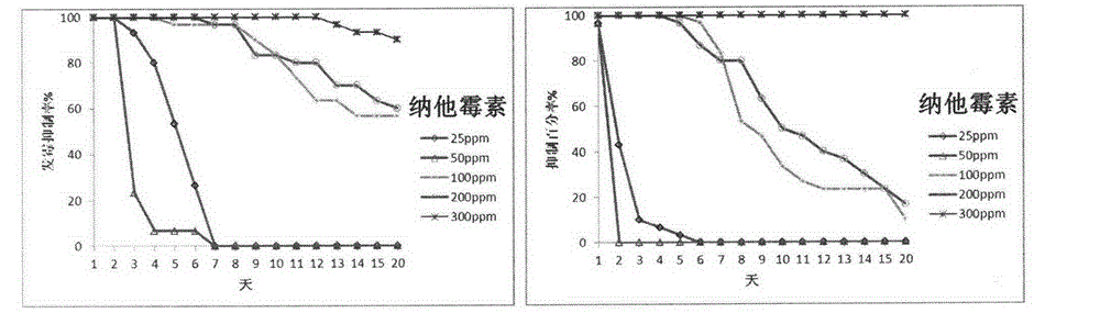 Artificial feed of rice leaf folder and preparation method of artificial feed