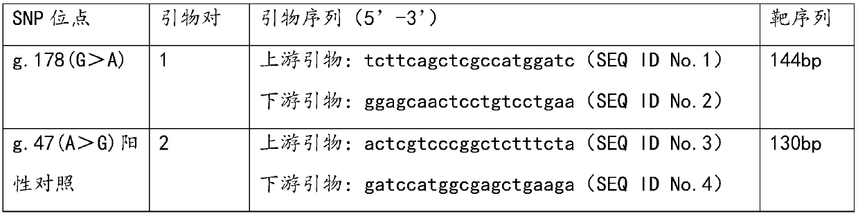 Application of MT-2A gene SNP locus in detecting susceptibility to heavy-metal poisoning