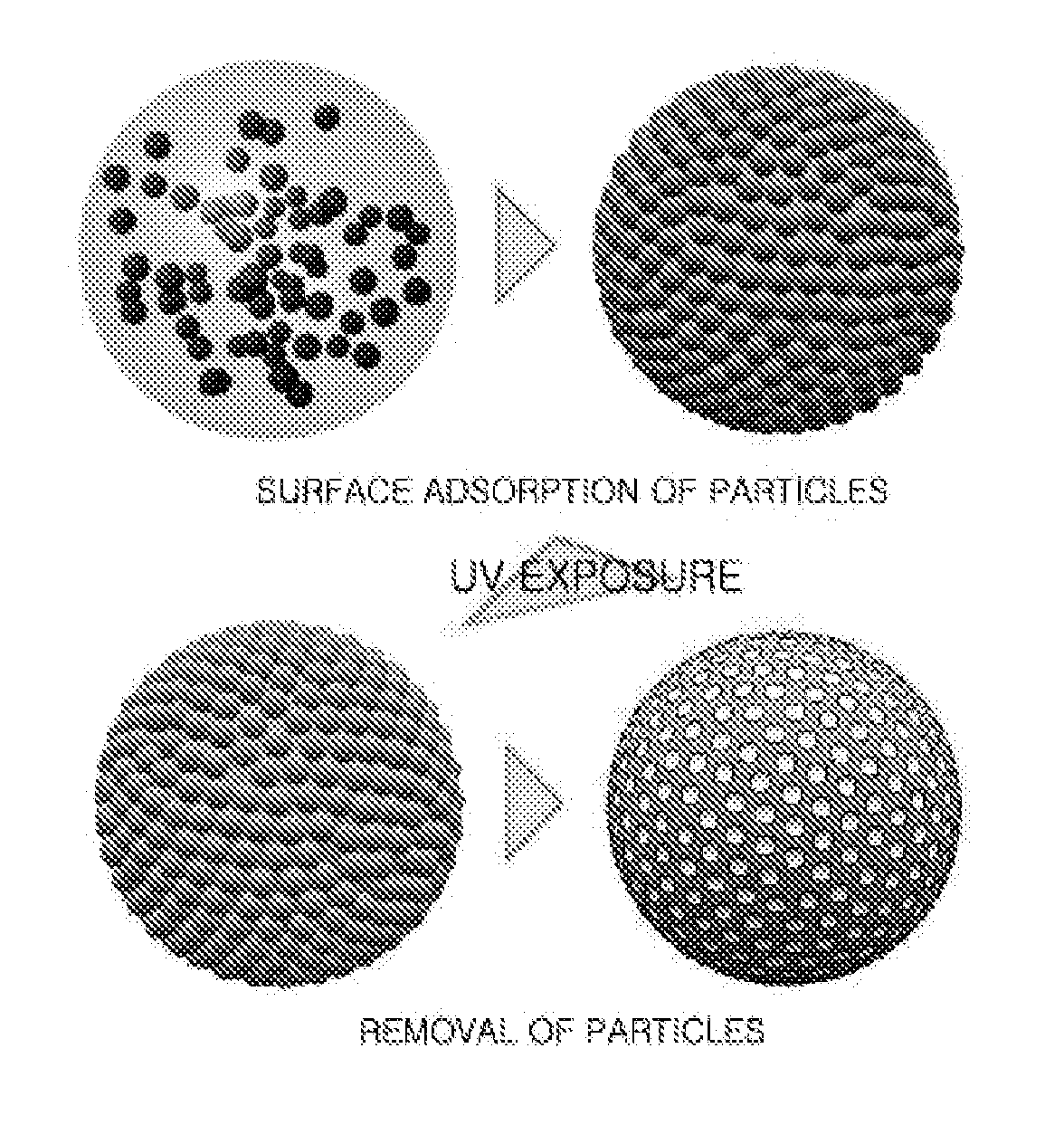 Method for Fabrication of Microparticles with Colloidal Particle-Anchored Surface Structures