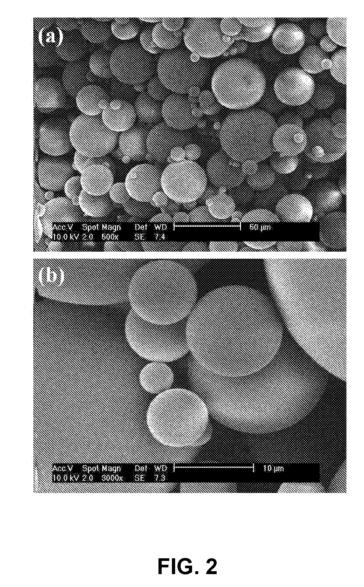 Method for Fabrication of Microparticles with Colloidal Particle-Anchored Surface Structures