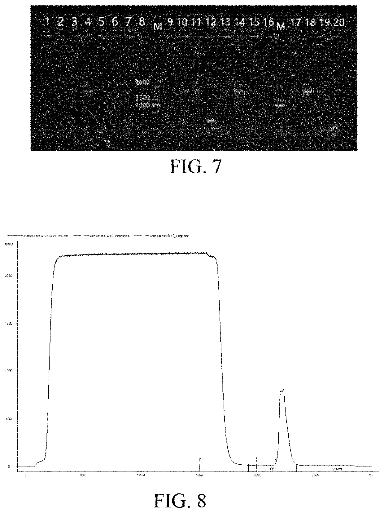 Fusion protein, preparation method therefor and use thereof