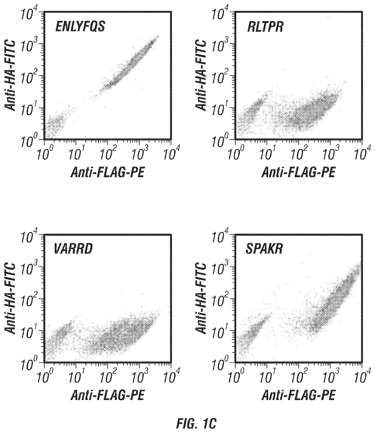 Methods for generating engineered enzymes