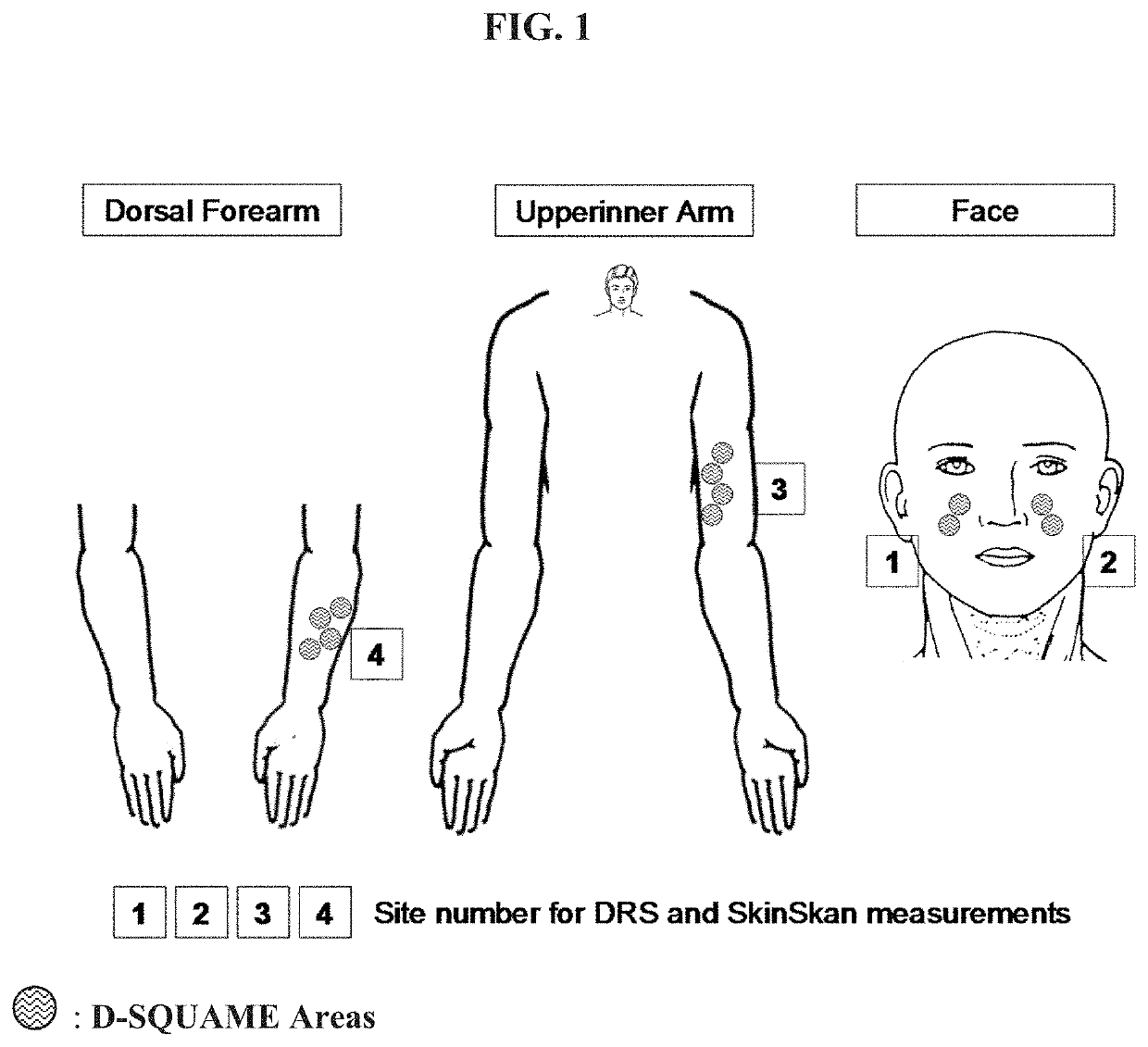 Protein Biomarkers for Identifying and Treating Aging Skin and Skin Conditions