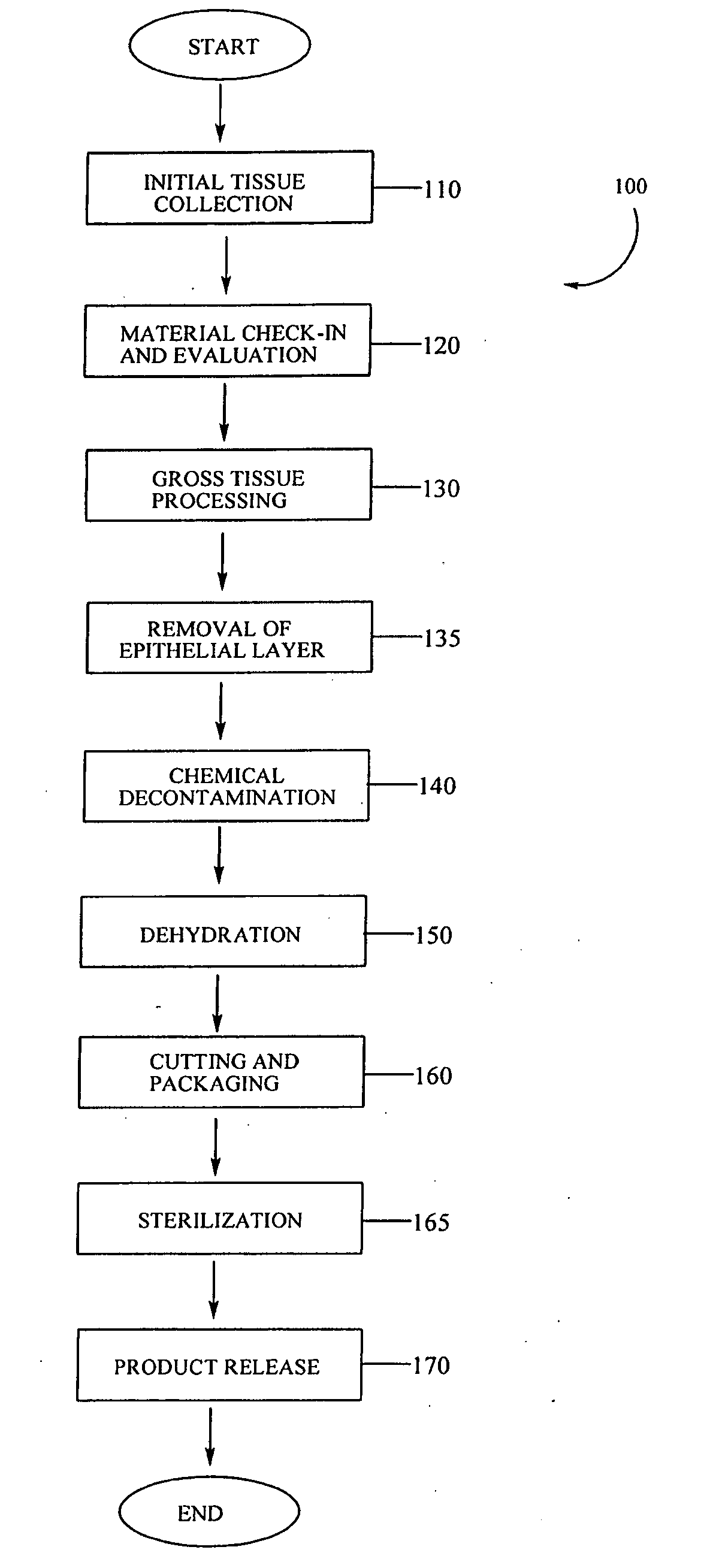 Placental tissue grafts and improved methods of preparing and using the same