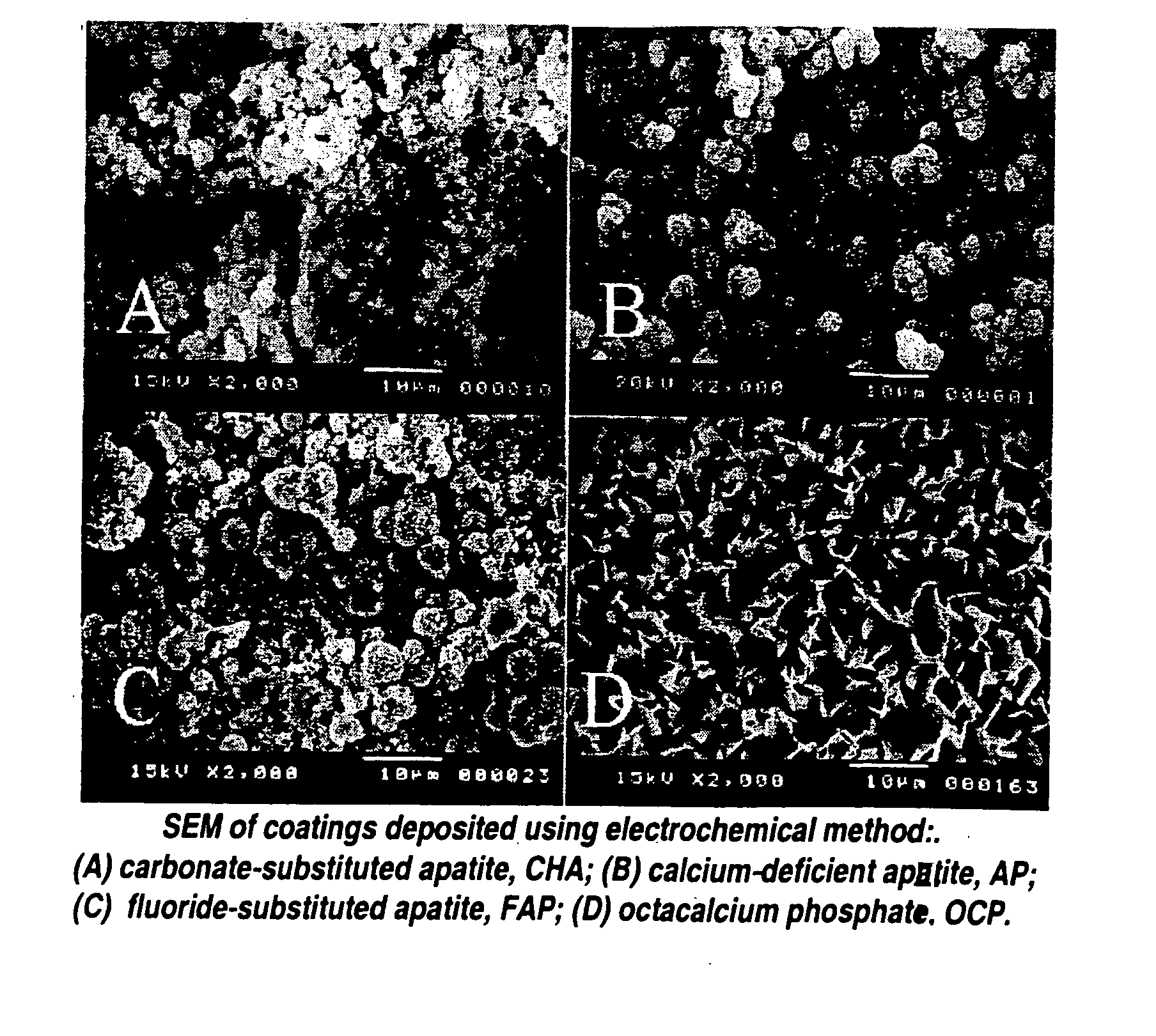 Method for producing adherent coatings of calcium phosphate phases on titanium and titanium alloy substrates by electrochemical deposition