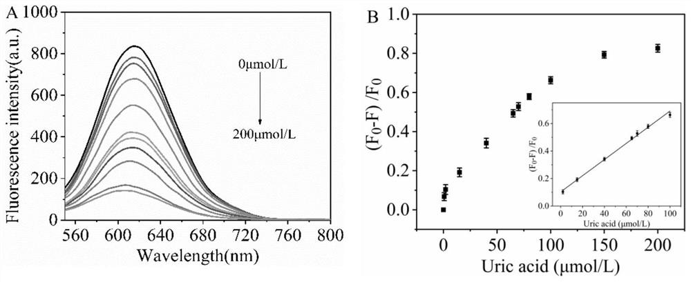 Preparation method of nanogold cluster and sensitization detection method of nanogold cluster in small biological molecules