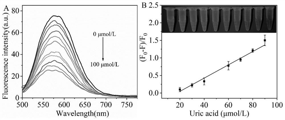 Preparation method of nanogold cluster and sensitization detection method of nanogold cluster in small biological molecules