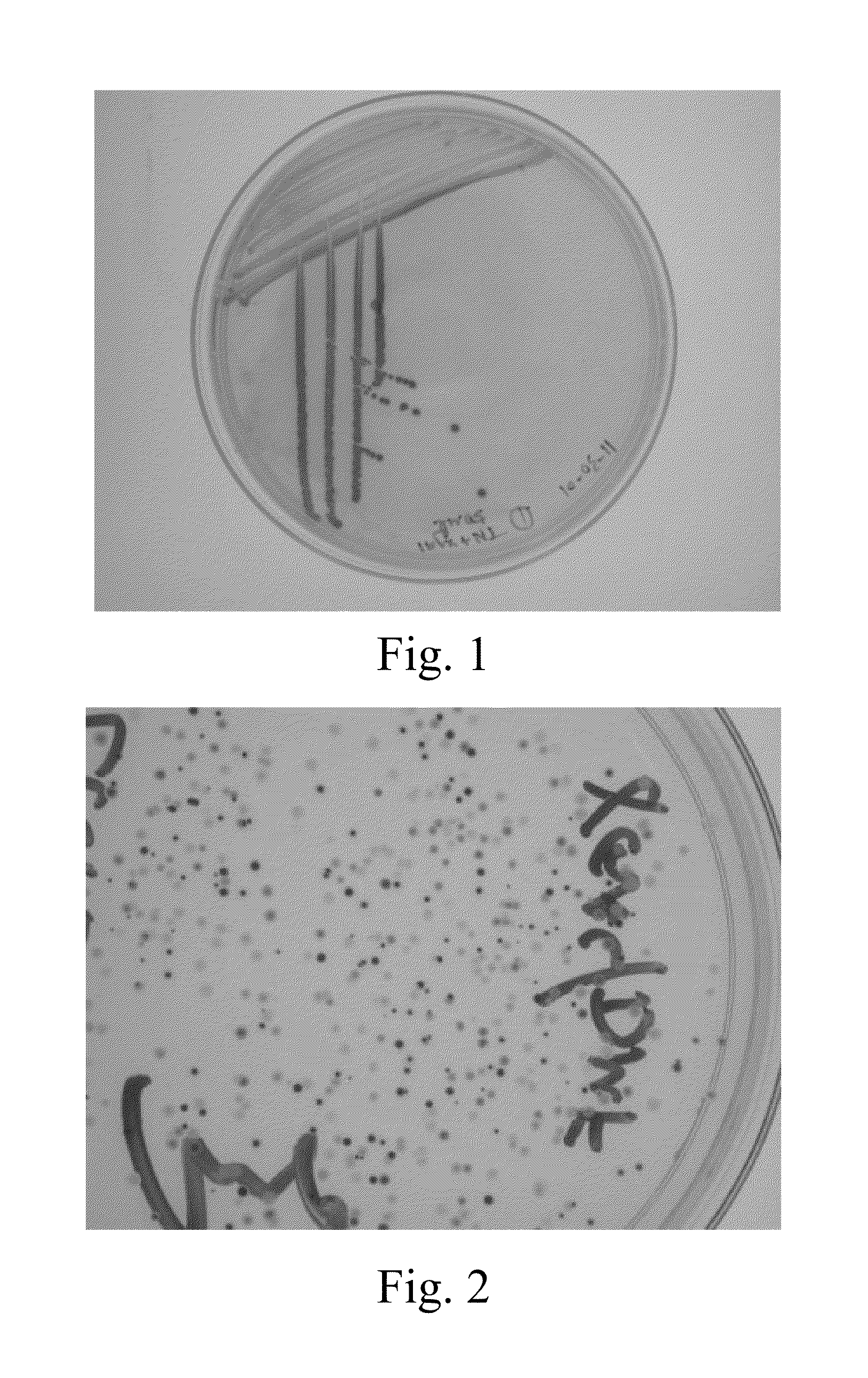 Non-toxic solvent for chromogenic substrate solution and uses thereof