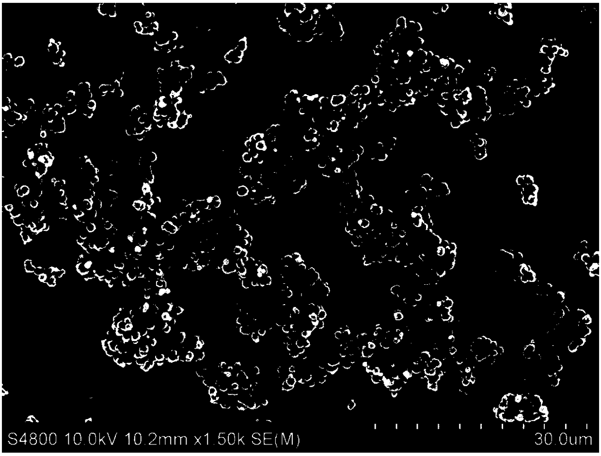 Method for preparing doped nano titanium dioxide powder by microwave hydrothermal method