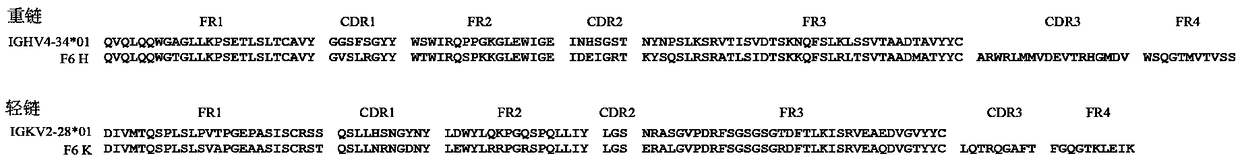 HIV-1 broadly neutralizing antibody and use thereof