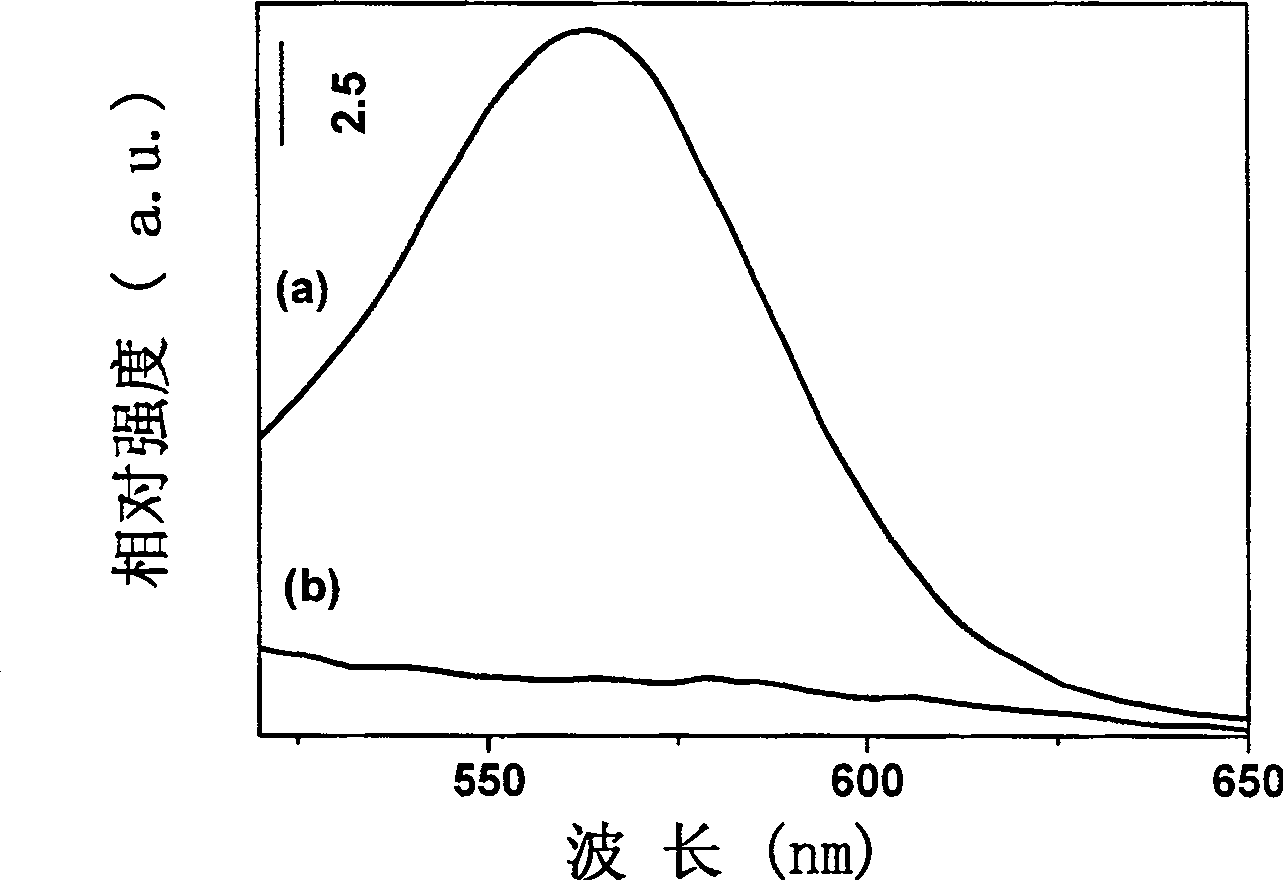 SERS detection method employing nano semiconductor material as substrate