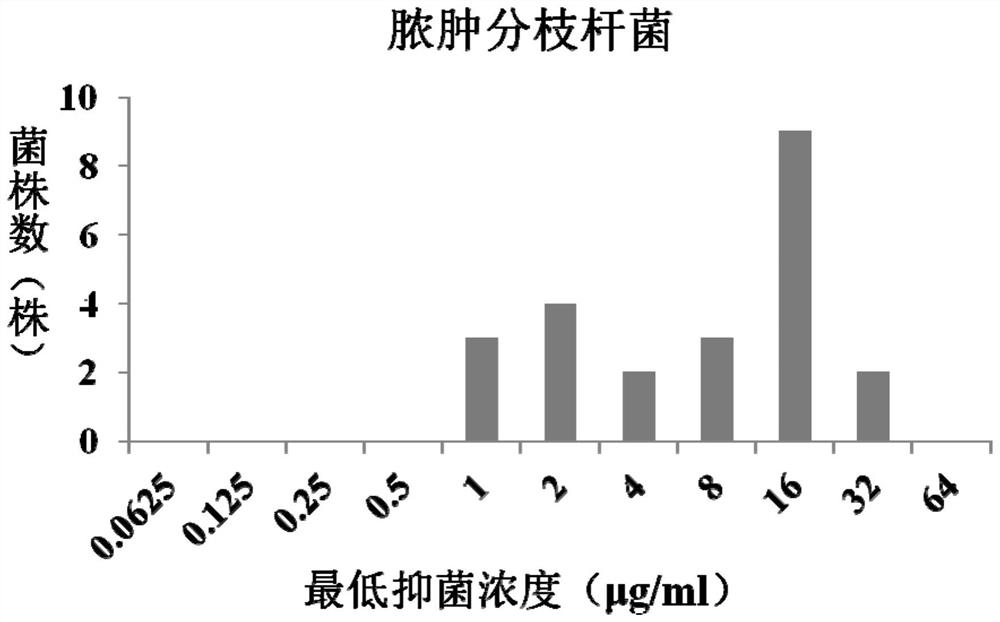 Application of fidaxomicin to preparation of product for inhibiting activity of mycobacterium abscessus