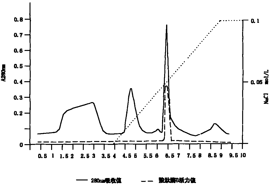 Method for preparing carboxypeptidase B and composition of carboxypeptidase B
