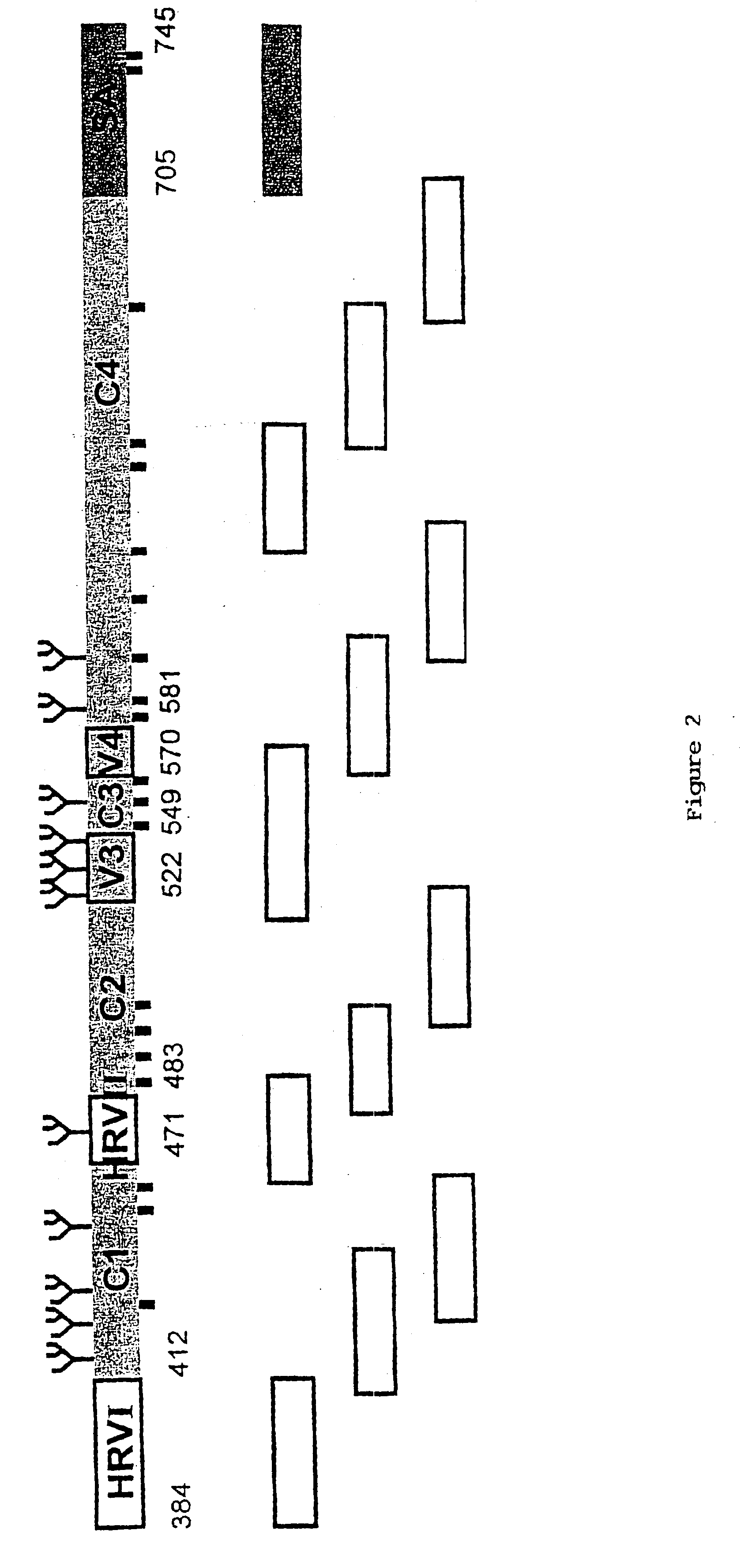 Multi-mer peptides derived from hepatitis C virus envelope proteins for diagnostic use and vaccination purposes