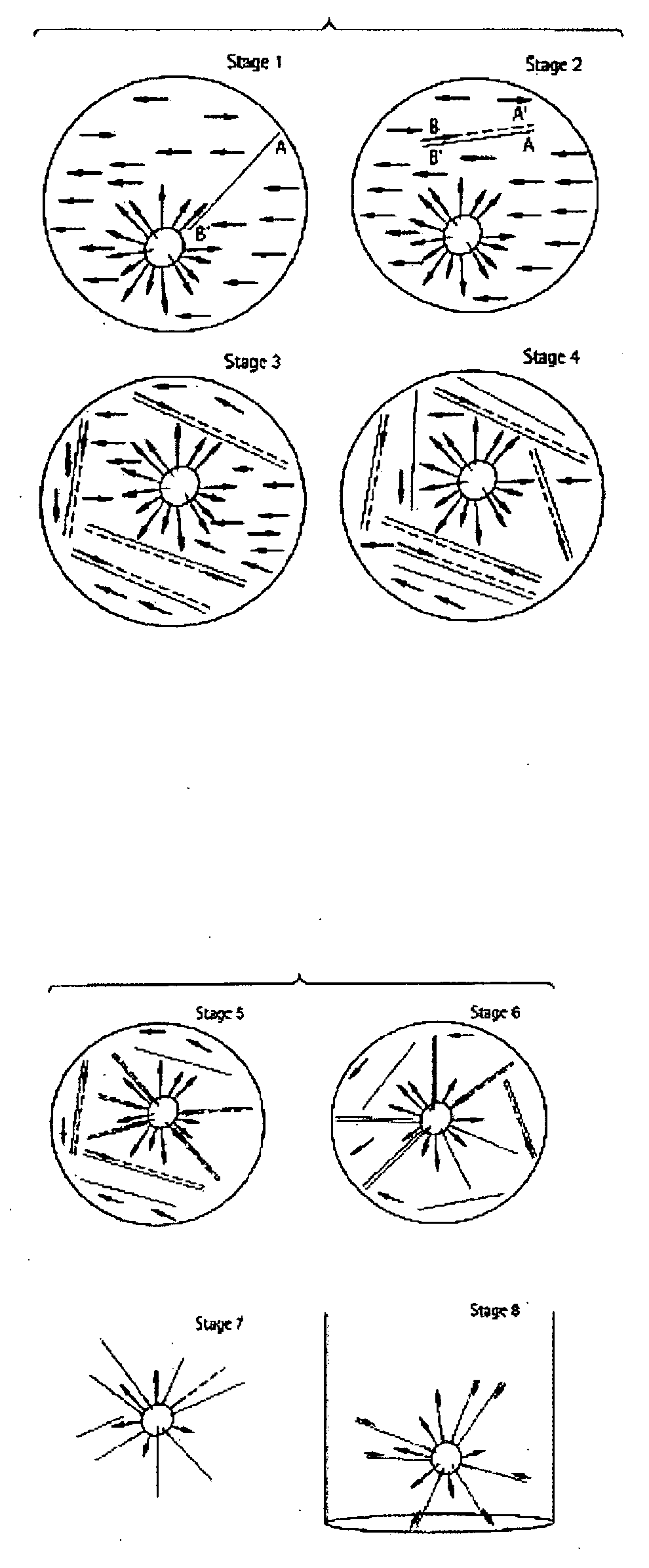 System and method for detection of HIV drug resistant variants