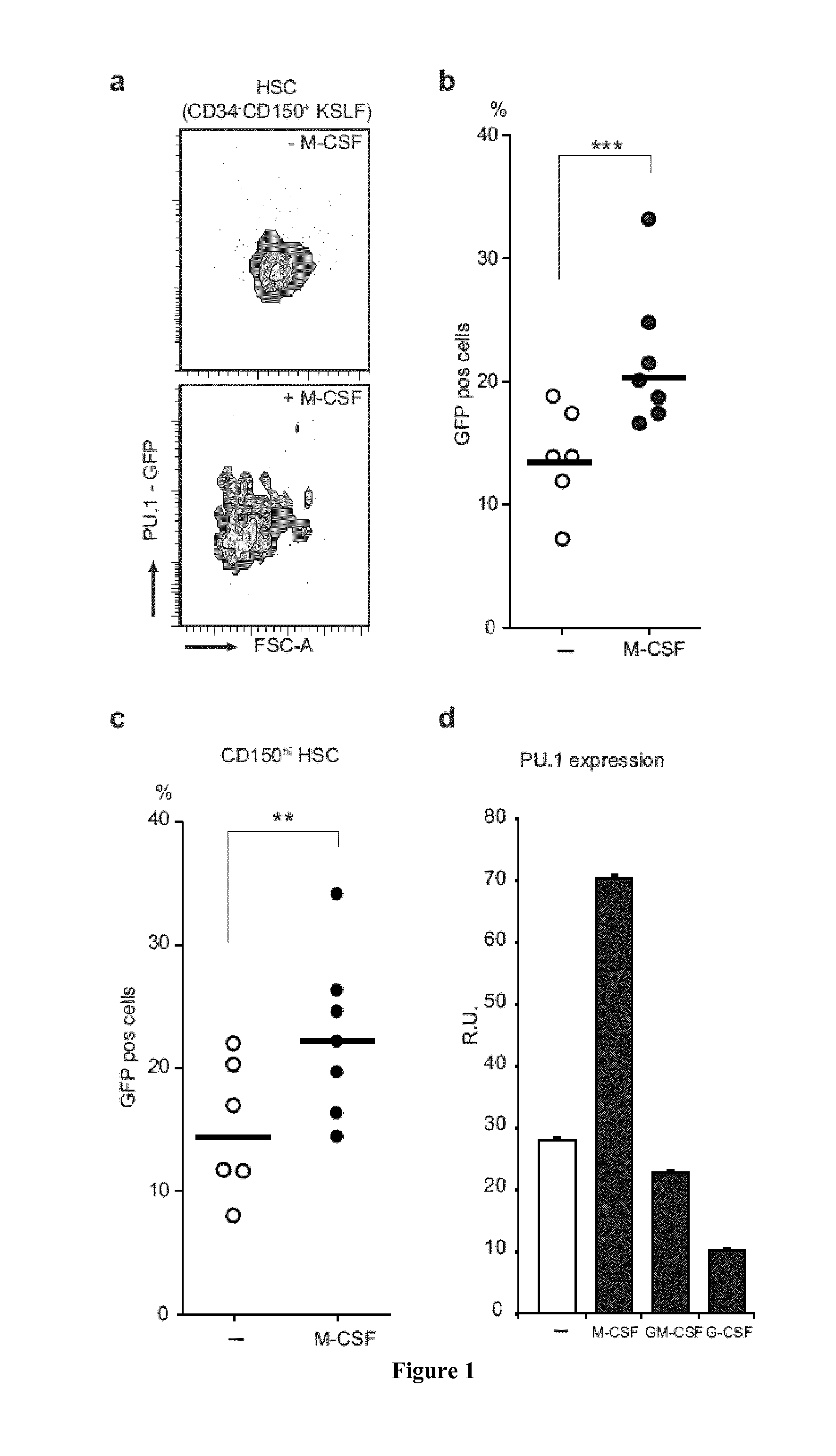 Use of m-csf for preventing or treating myeloid cytopenia and related complications