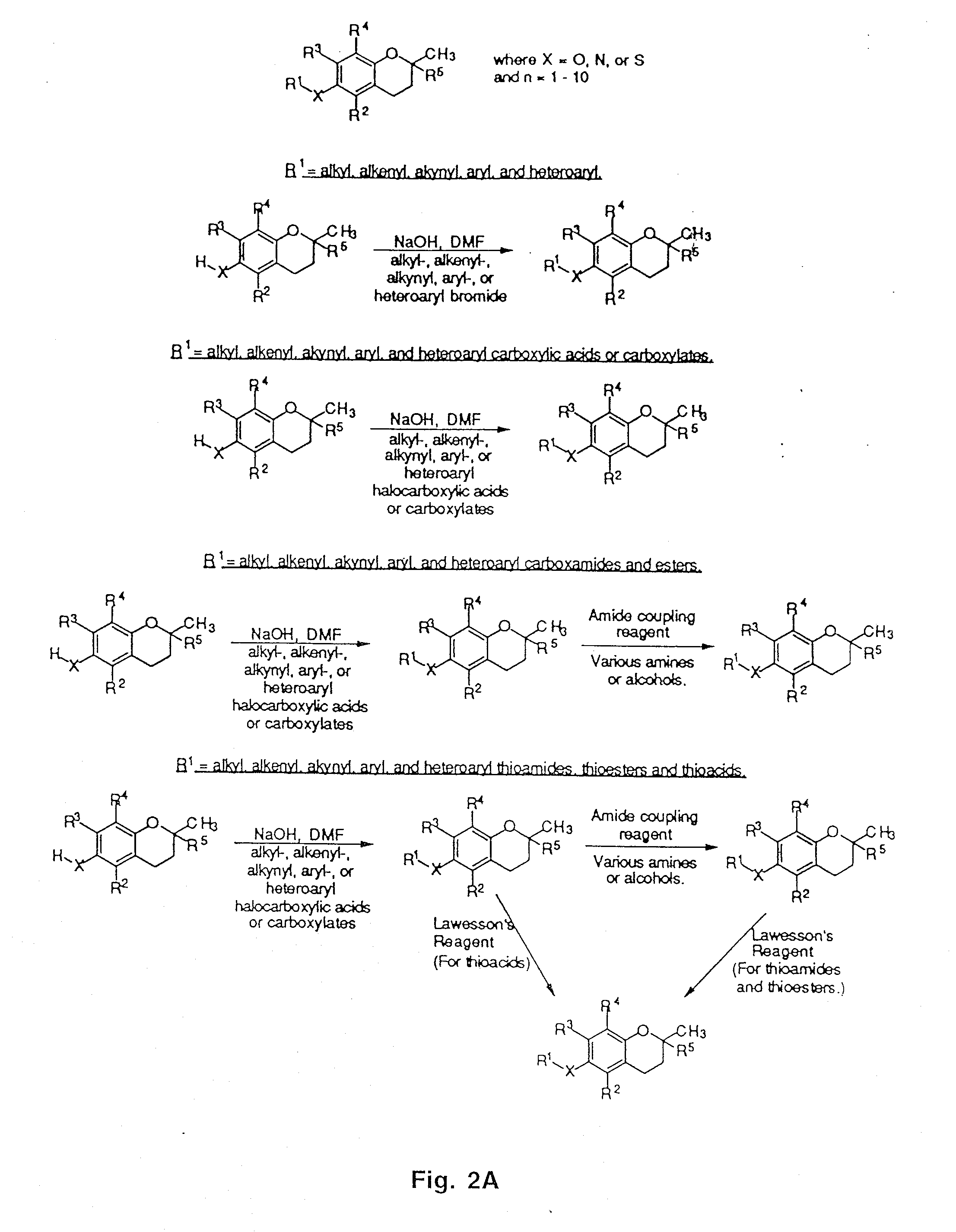 Tocopherols, tocotrienols, other chroman and side chain derivatives and uses thereof