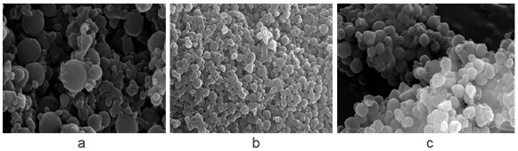 A kind of preparation method of oleanolic acid sustained-release nano-microcapsules