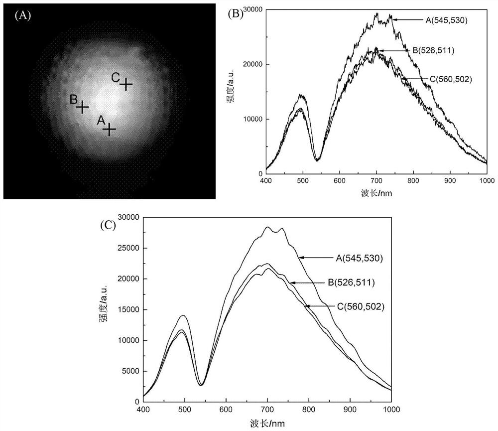 Resonance wavelength determination method of surface electromagnetic mode resonance hyperspectral imaging sensor