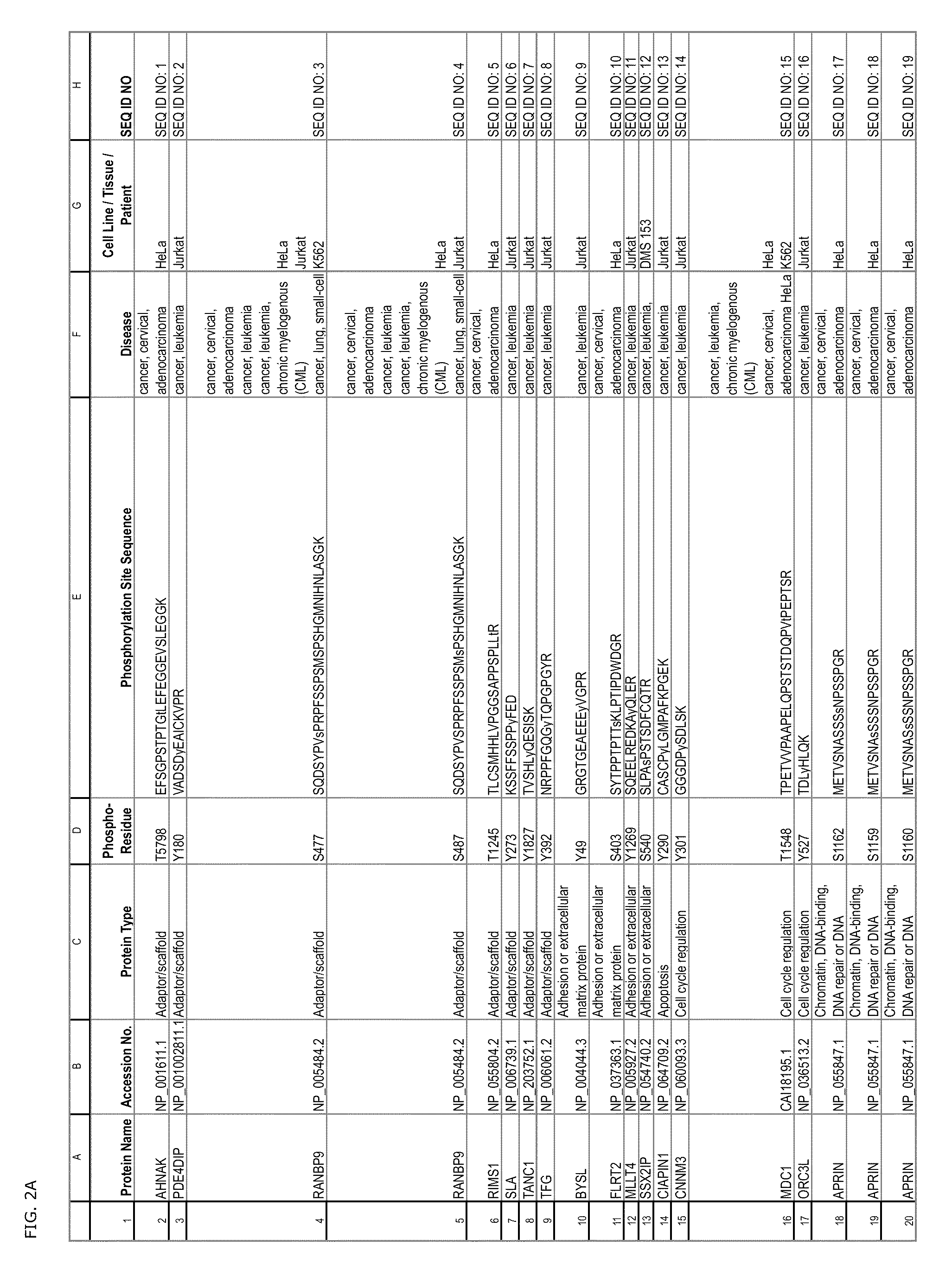 Tyrosine, serine and threonine phosphorylation sites