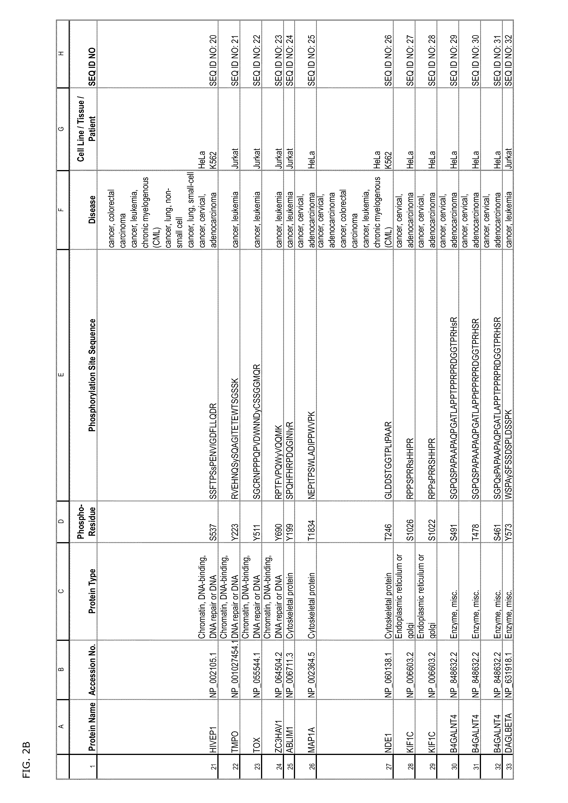 Tyrosine, serine and threonine phosphorylation sites