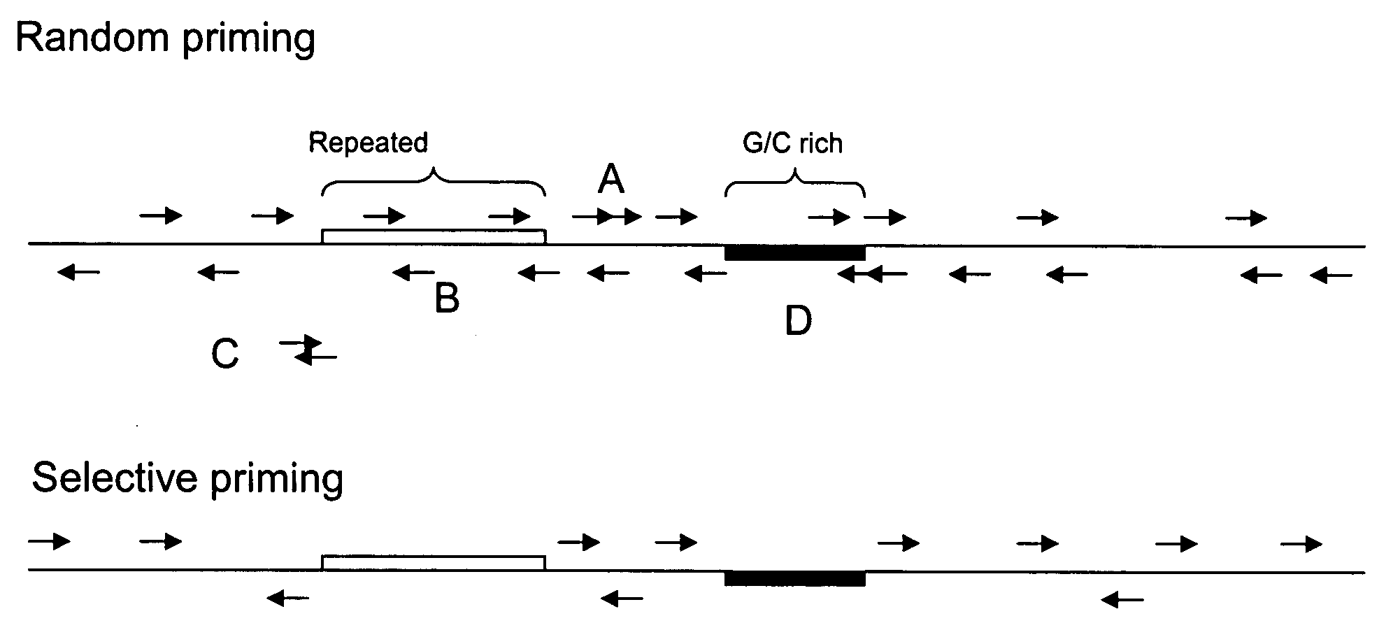 Complex oligonucleotide primer mix