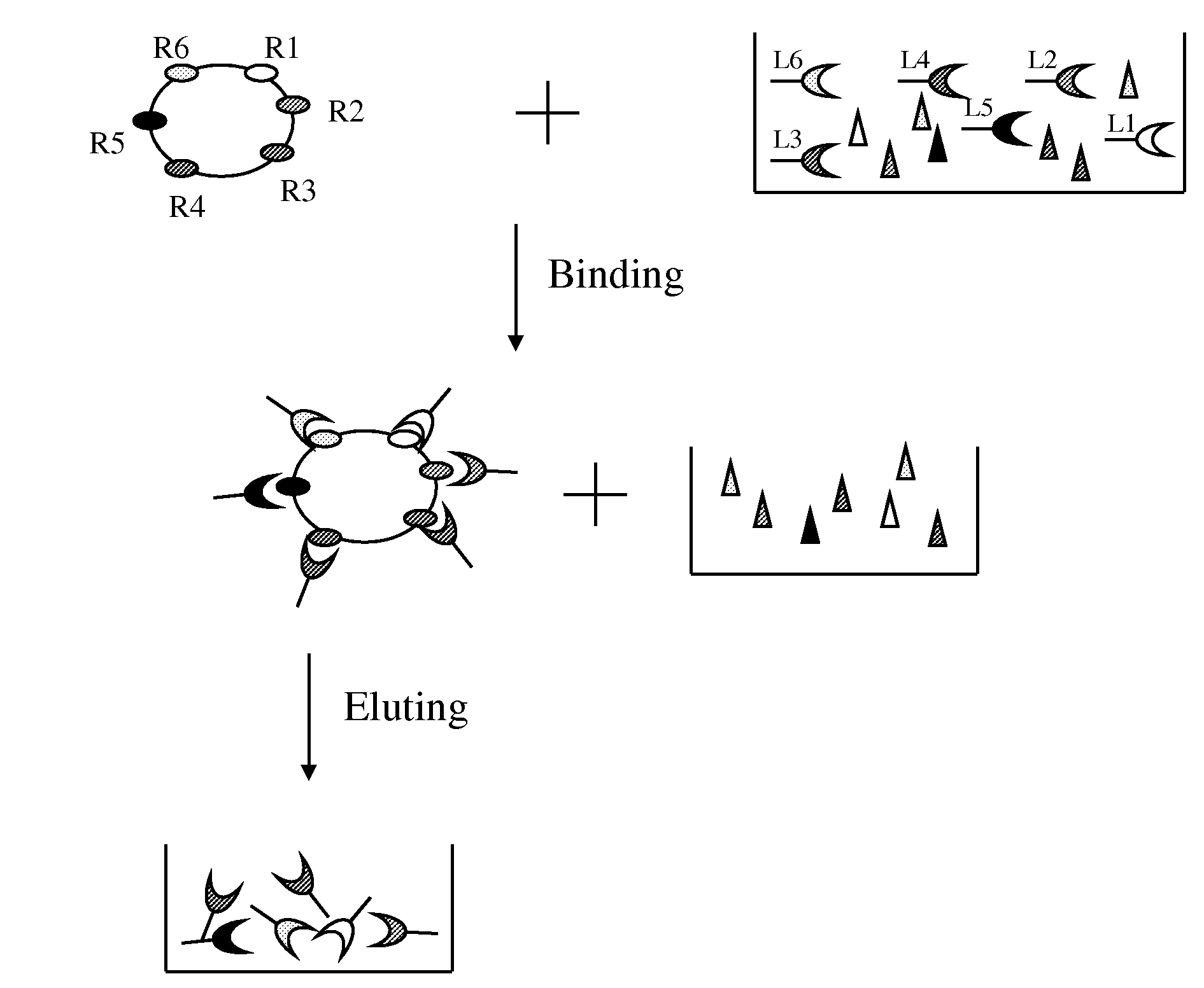 Method of selective protein enrichment and associated applications