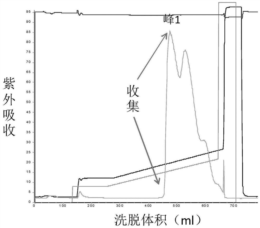 Preparation and application of pegylated kininogenase